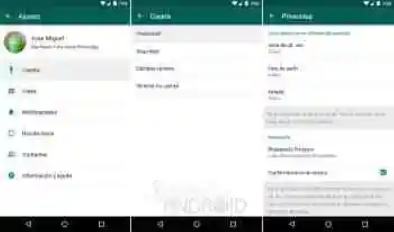 How to set up your privacy on WhatsApp