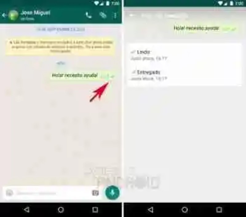 How to set up your privacy on WhatsApp