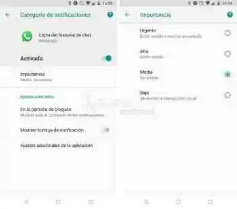WhatsApp opens channels of notification in Android Oreo: so you can set it up