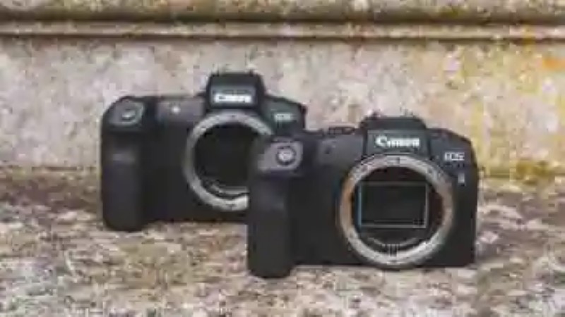 Canon EOS R vs EOS RP: 10 principales différences que vous devez savoir