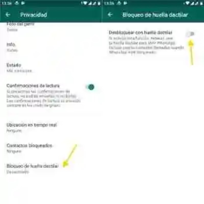 WhatsApp added protection with fingerprint recognition in its beta for Android: how it works