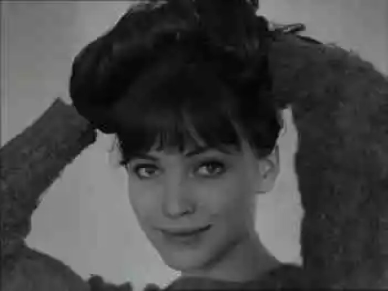 Die Anna Karina, legend of the Nouvelle Vague and the muse of Jean-Luc Godard