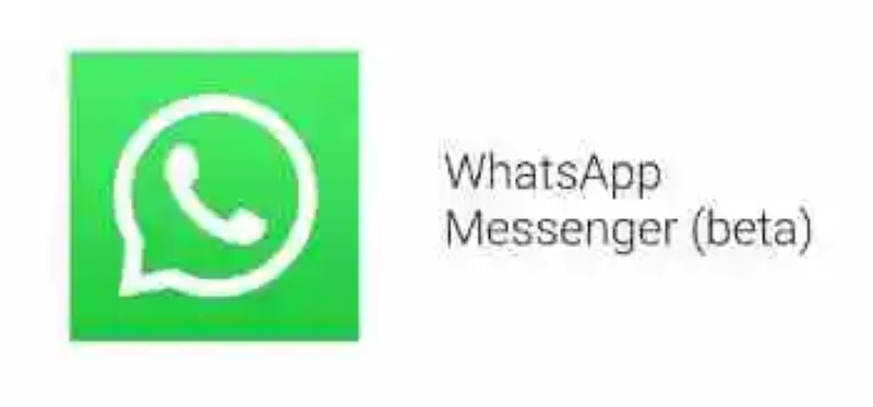 WhatsApp öffnet wieder die beta auf Android: so kannst du dich anmelden!