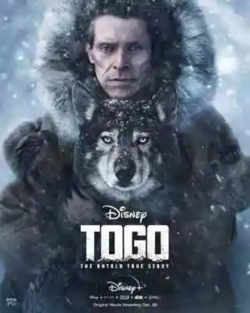 Trailer de &#8216;Togo&#8217;: o novo filme da Disney+ conta a desconhecida história real do cão ofuscado por Balto