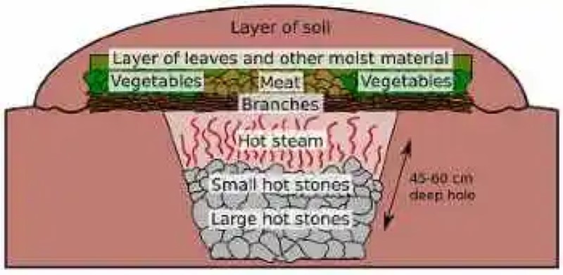 The middle layer of the soil