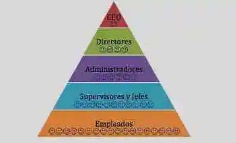Hierarchical unit in the administration