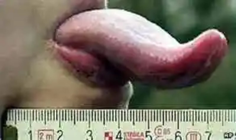 The woman with the longest tongue in the world