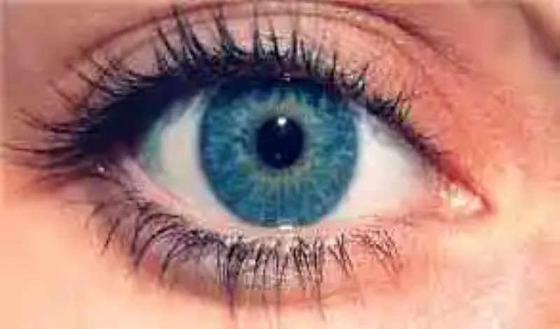 10 curious facts of the human eye
