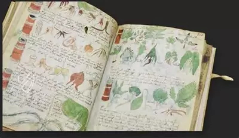 The most enigmatic book in history Voynich Manuscript