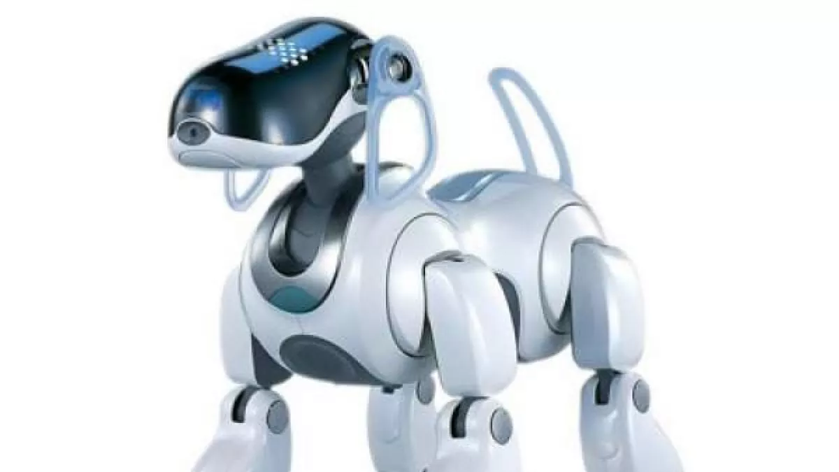 The robotic dog to assist blind people